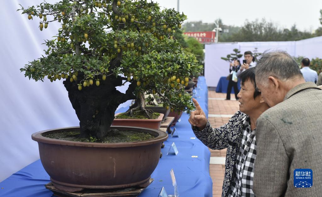 亚洲城登录官网